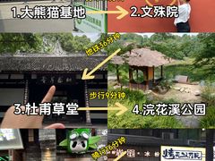 -成都大熊猫繁育研究基地