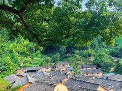 -杨家堂村