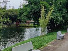 -晓港公园