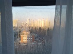 -中国福利会国际和平妇幼保健院(徐汇院区)