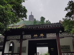 -焦山风景区