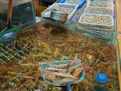-阿毛饭店·宁波老字号(儿童公园旗舰店)
