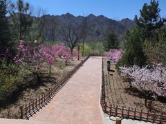 iphone_upload_pic-百里山水画廊