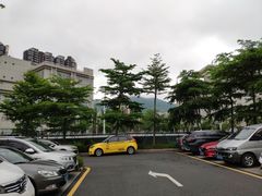 -深圳大学总医院