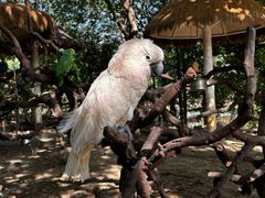 -常州淹城野生动物世界