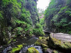 -茅兰沟国家森林公园