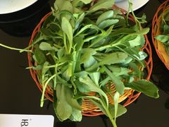 -藏味八珍特色火锅