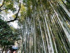 -汇龙潭