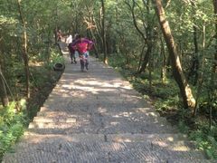 -紫金山天文台