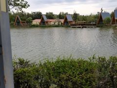 -伊犁河景区