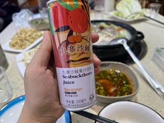 -九寨特色牦牛肉汤锅 羊肉汤锅