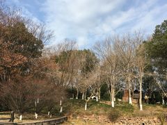 -天目湖山水园
