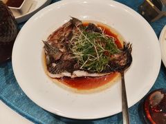 -圆苑(静安寺店)