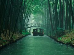 -同里国家湿地公园
