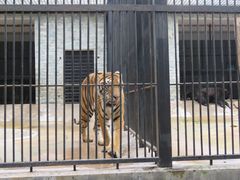 -广东茂名森林公园