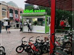 -Salud撒露欧洲冻酸奶(蓝色港湾店)