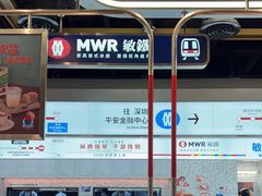 -敏华冰厅(平安金融中心店)