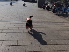 -南京中医药大学(仙林校区)