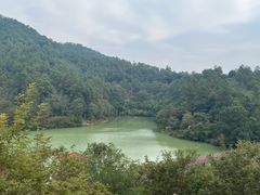 -广州白江湖森林公园