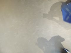 -顺德渔村·岭南一号