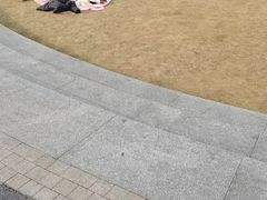 -四川大学(望江校区)