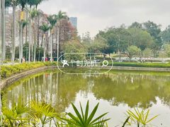 -洲头咀公园