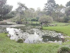 -杭州植物园
