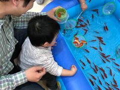 -凡育国际托育早教(大宁校区)