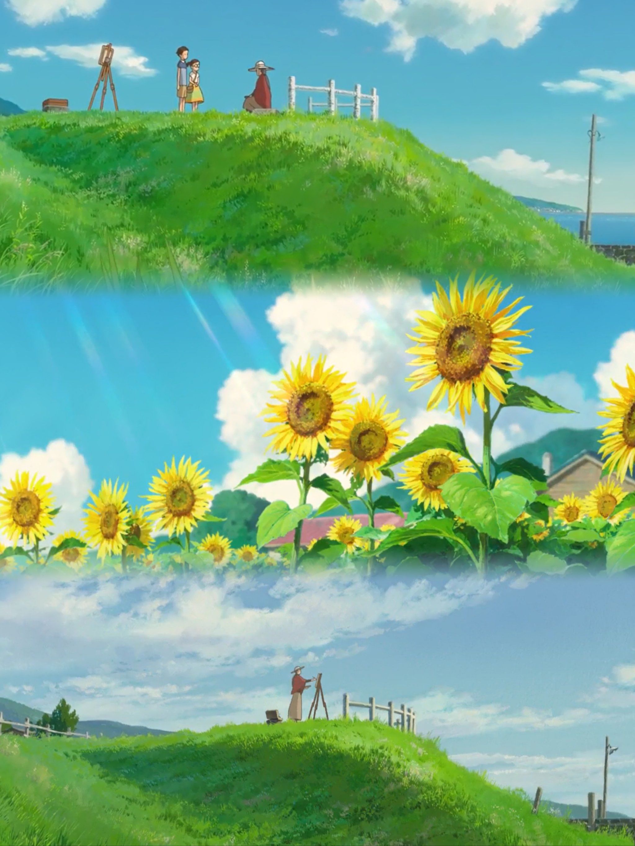 大自然的美景,治愈力满满