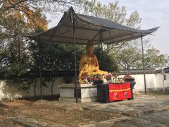 -上海佘山国家森林公园天马山园