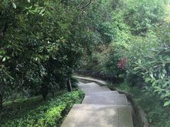 -巢湖姥山岛