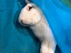 -美迦爱-牙专科·兔科·骨科诊疗中心(北苑店)