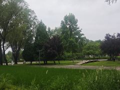-北坞公园
