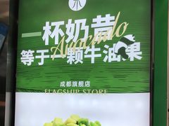 -茉酸奶(春熙路店)