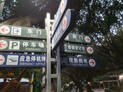 -东风公园