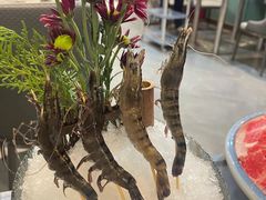 -喜聚薈·花膠雞海鮮火鍋(越秀店)