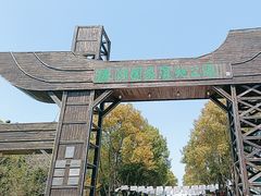 -溱湖国家湿地公园