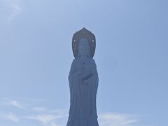 -老何家后安粉·糟粕醋海鲜火锅(三亚湾椰梦长廊店)