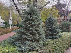 -大连植物园