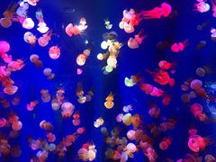 -成都浩海立方海洋公园