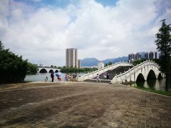 -飞来湖湿地公园