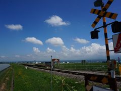 -富田农场
