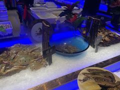 -加餐海鲜自助(宝龙一城店)
