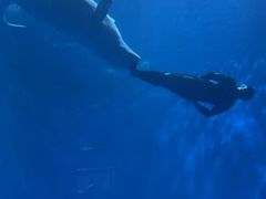 -多彩贵州城极地海洋世界