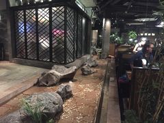 大堂-广东道至正餐厅(区庄店)