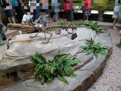 -自贡恐龙博物馆