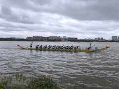 -九龙湖公园