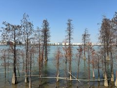 -厨邦酱油文化博览馆