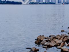 -喜洲吧·江畔老船厂·庭院餐厅(喜临院店)