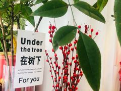 -LA JOLLA 墨西哥餐厅(学院路店)